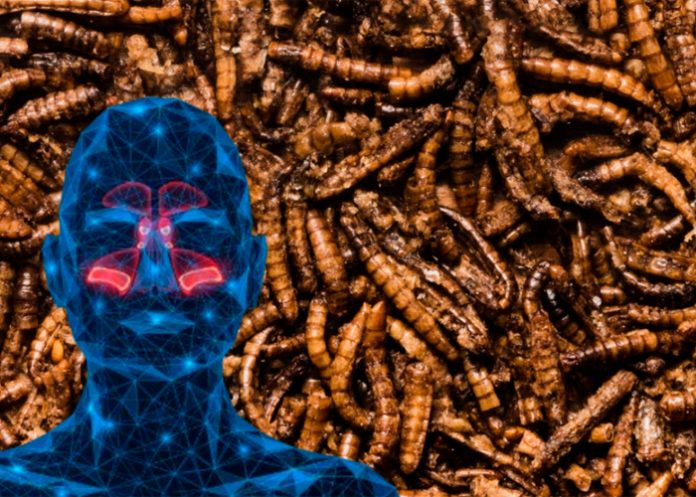 Encuentran gusanos en la nariz de un hombre de Florida