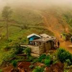 Muertos, así fueron encontrados 16 miembros de una familia en Haití Mueren 16 integrantes de una familia en Haití