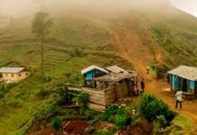 Muertos, así fueron encontrados 16 miembros de una familia en Haití Mueren 16 integrantes de una familia en Haití