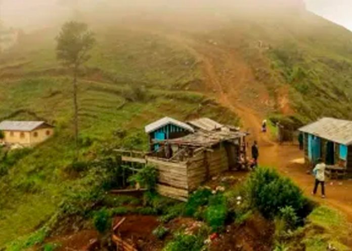 Mueren 16 integrantes de una familia en Haití