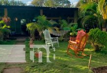 Con estos calores, aquí tres hostales paradisíacos para disfrutar en Ometepe Foto: Hoteles y hostales para disfrutar en la Isla de Ometepe / TN8