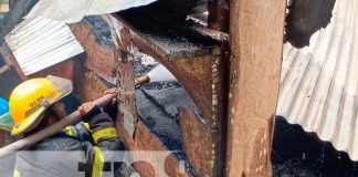 Foto: Incendio deja afectaciones materiales en una vivienda de Bonanza / TN8