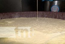 Siuna levanta su economía con su propio acopio de leche Foto: Producción de leche desde Siuna, Triángulo Minero de Nicaragua / TN8