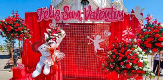 ¡Prepárate para el Día del Amor! En León