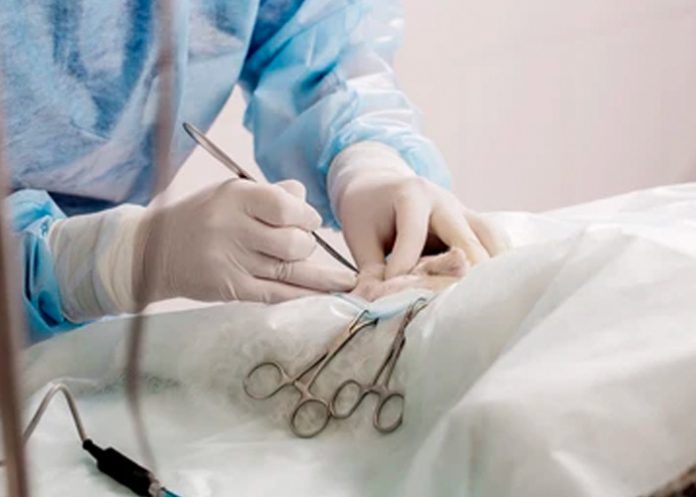 Madagascar busca imponer la castración