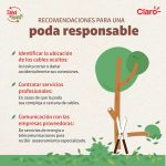 Claro Nicaragua promueve la poda responsable
