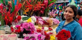 Foto: Regalos de todo tipo para este 14 de febrero / TN8