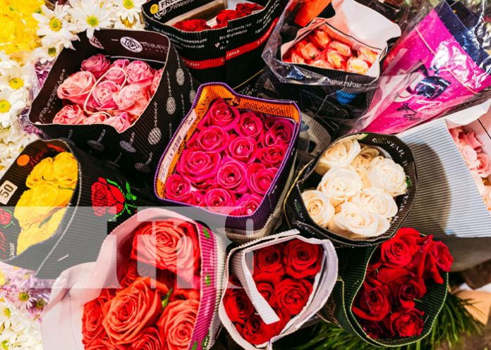 temp-1 Foto: Comercio lleno de temática de San Valentín en el Mercado Roberto Huembes / TN8