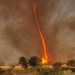 Pánico en Costa Rica ante la aparición de un Tornado de Fuego Tornado de fuego captado por un bombero
