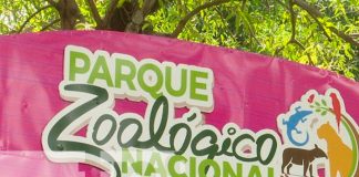 Foto: Mejoras en el zoológico nacional / TN8