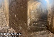 Desde el patio de su casa, descubre un refugio subterráneo de la II Guerra Mundial Desde el patio de su casa, descubre un refugio subterráneo de la II Guerra Mundial
