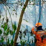 Más de 1.200 hectáreas consumidas por ola de fuego en Colombia Más de 1.200 hectáreas consumidas por ola de fuego en Colombia