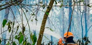 Más de 1.200 hectáreas consumidas por ola de fuego en Colombia