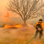 Texas: Voraz incendio arrasa dejando dos personas fallecidas Foto: Voraz incendio en Estados Unidos Texas /cortesía