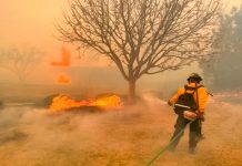 Texas: Voraz incendio arrasa dejando dos personas fallecidas Foto: Voraz incendio en Estados Unidos Texas /cortesía