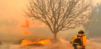 Foto: Voraz incendio en Estados Unidos Texas /cortesía