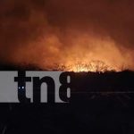 Llamas amenazan la biodiversidad: Incendio forestal en Moyogalpa, Ometepe