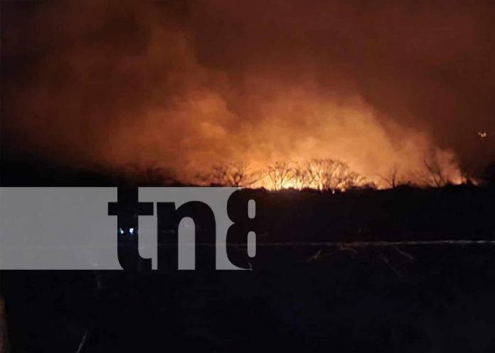 Llamas amenazan la biodiversidad: Incendio forestal en Moyogalpa, Ometepe