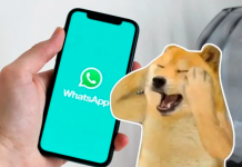 WhatsApp obligado a adaptarse: Lo que debes saber sobre sus nuevos términos ¿Tu teléfono está en la lista? Varios le dirán adiós a WhatsApp en abril