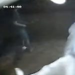 Arrestan a estudiante por abusar sexual de una yegua embarazada