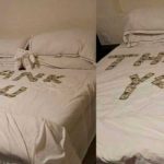 ¡Tremenda propina! Turistas agradecen a empleada de hotel con dólares en la cama Turistas agradecen a empleada de hotel con dólares en la cama