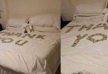 ¡Tremenda propina! Turistas agradecen a empleada de hotel con dólares en la cama Turistas agradecen a empleada de hotel con dólares en la cama