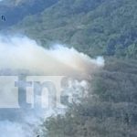 ¡Alerta! Otro incendio forestal en la Isla de Ometepe en menos de una semana Foto: ¡Alerta! Otro incendio forestal en la Isla de Ometepe en menos de una semana/TN8