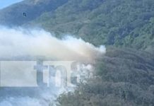 ¡Alerta! Otro incendio forestal en la Isla de Ometepe en menos de una semana Foto: ¡Alerta! Otro incendio forestal en la Isla de Ometepe en menos de una semana/TN8