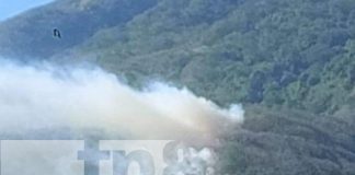 Foto: ¡Alerta! Otro incendio forestal en la Isla de Ometepe en menos de una semana/TN8