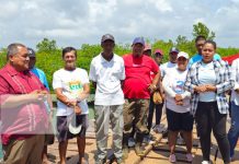 Alcaldía de Puerto Cabezas reemplazará puente vital en comunidad indígena Foto: Alcaldía de Puerto Cabezas reemplazará puente vital en comunidad indígena/TN8