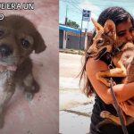 Rescata a un coyote creyendo era un perrito, su historia es viral