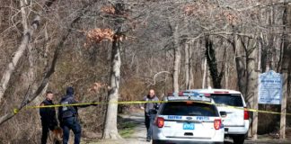 Encuentran dos brazos y una pierna en un parque Nueva York