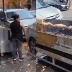 Aseguran una mujer cocina ratas gigantes en Nueva York, pero esta es la verdad