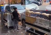 Aseguran una mujer cocina ratas gigantes en Nueva York, pero esta es la verdad Aseguran una mujer cocina ratas gigantes en Nueva York, pero esta es la verdad