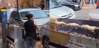 Aseguran una mujer cocina ratas gigantes en Nueva York, pero esta es la verdad