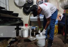 Foto: MINSA realiza la I Jornada Nacional de Desratización en Granada y León/TN8