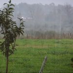 Foto: Tormentas en Uruguay /cortesía
