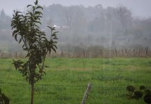 Foto: Tormentas en Uruguay /cortesía
