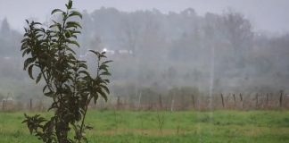 Foto: Tormentas en Uruguay /cortesía