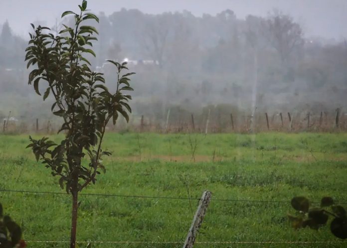 Foto: Tormentas en Uruguay /cortesía