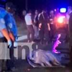 Se movilizaba a pie y una camioneta acabó con su vida en San Marcos, Carazo Se movilizaba a pie y una camioneta acabó con su vida en San Marcos, Carazo