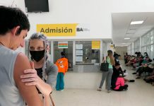 Foto: Dengue en Argentina /cortesía