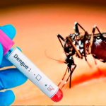 Detalles sobre el dengue que sí o sí debés saber en Nicaragua Foto: Brasil, Argentina y Uruguay afectados por dengue /cortesía