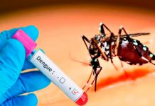 Detalles sobre el dengue que sí o sí debés saber en Nicaragua Foto: Brasil, Argentina y Uruguay afectados por dengue /cortesía