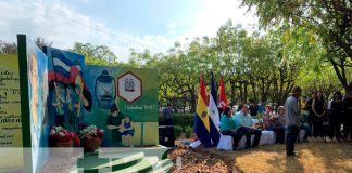 Foto: Conmemoración de la Alfabetización /TN8