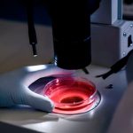 Beneficios innovadores de la luz pulsada en la industria alimentaria Foto: Beneficios innovadores de la luz pulsada en la industria alimentaria / Cortesía