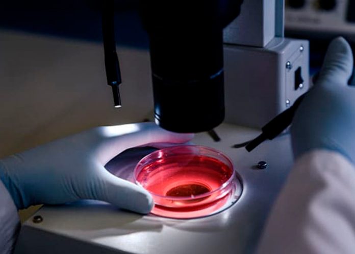 Foto: Beneficios innovadores de la luz pulsada en la industria alimentaria / Cortesía