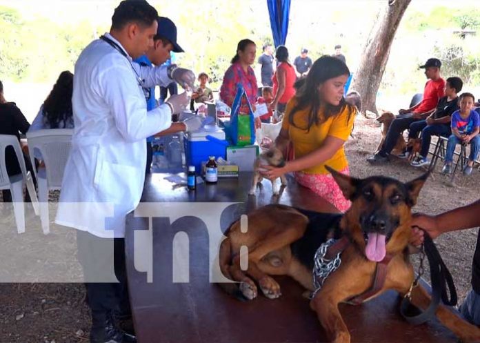 Sistema penitenciario de Matagalpa realiza primer feria canina