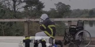 Foto: Bombero se convierte en ángel de la salvación para víctima de picaduras de abejas/TN8