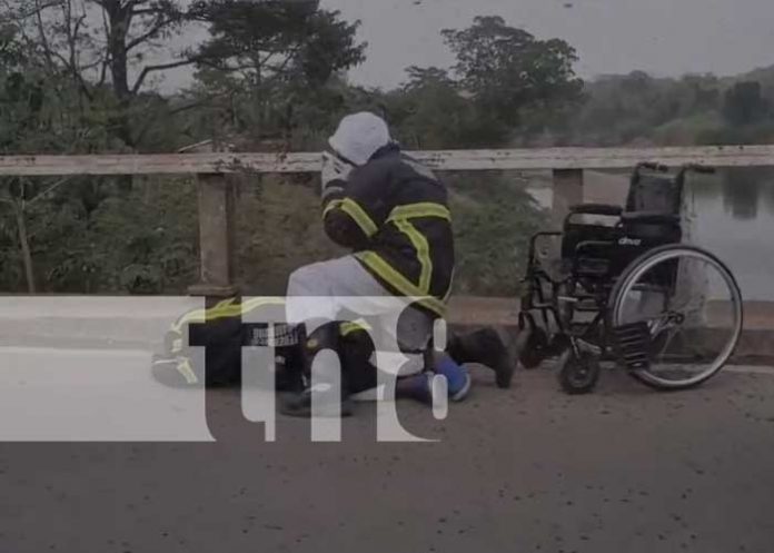 1 Foto: Bombero se convierte en ángel de la salvación para víctima de picaduras de abejas/TN8